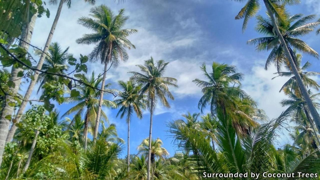Mansuar Raja Ampat Bungalows Kri Zewnętrze zdjęcie